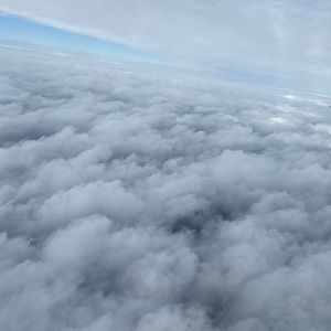 Meet your Posher, Belinda